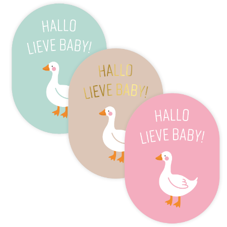 Stickers ''Hallo lieve baby (3 kleuren, gansje)'' || 9 stuks