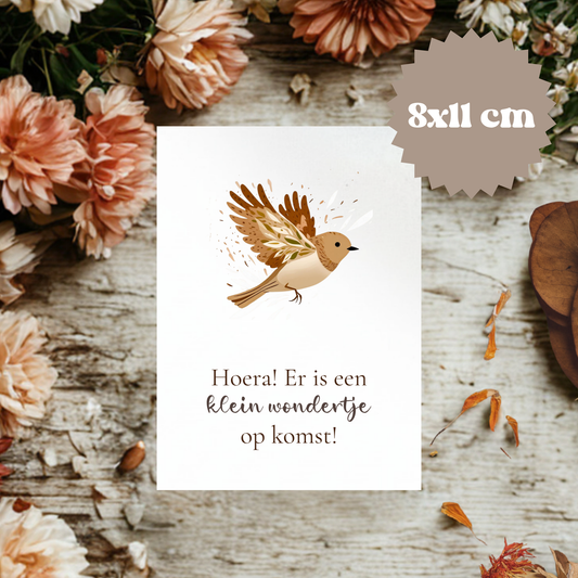 Kaartje || Gefeliciteerd - diverse keuzes