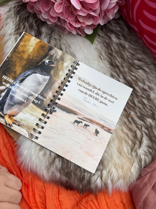 Cadeauboekje ‘Welzalig’