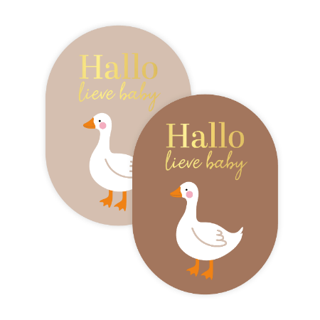 Stickers ''Hallo lieve baby (bruin, gansje)'' || 9 stuks