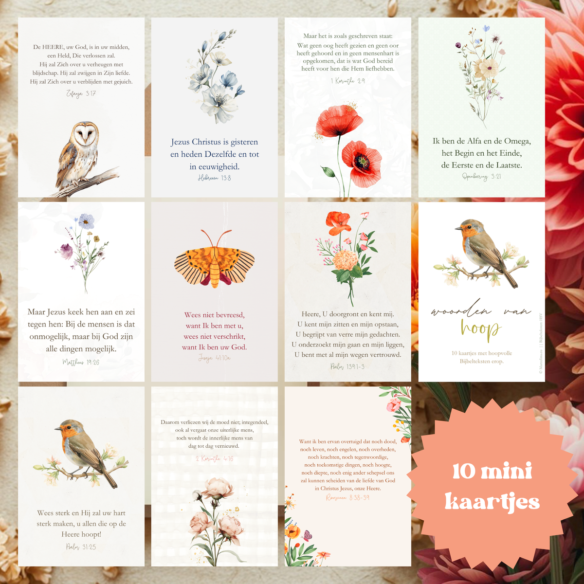 Setjes met (uitdeel)kaartjes > kies diverse thema's