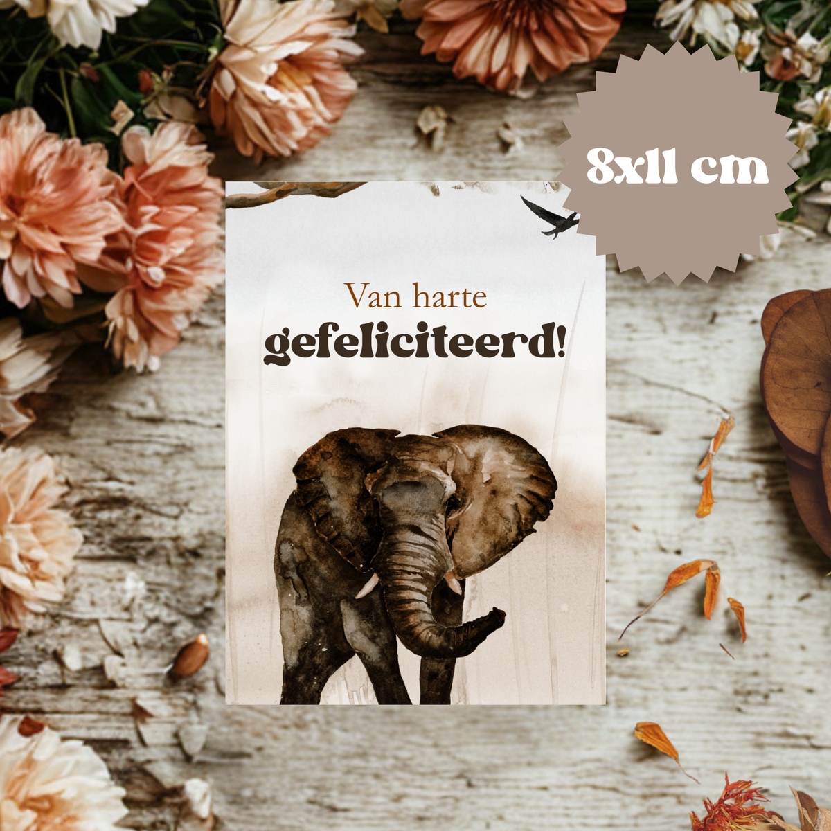 Kaartje || Gefeliciteerd - diverse keuzes