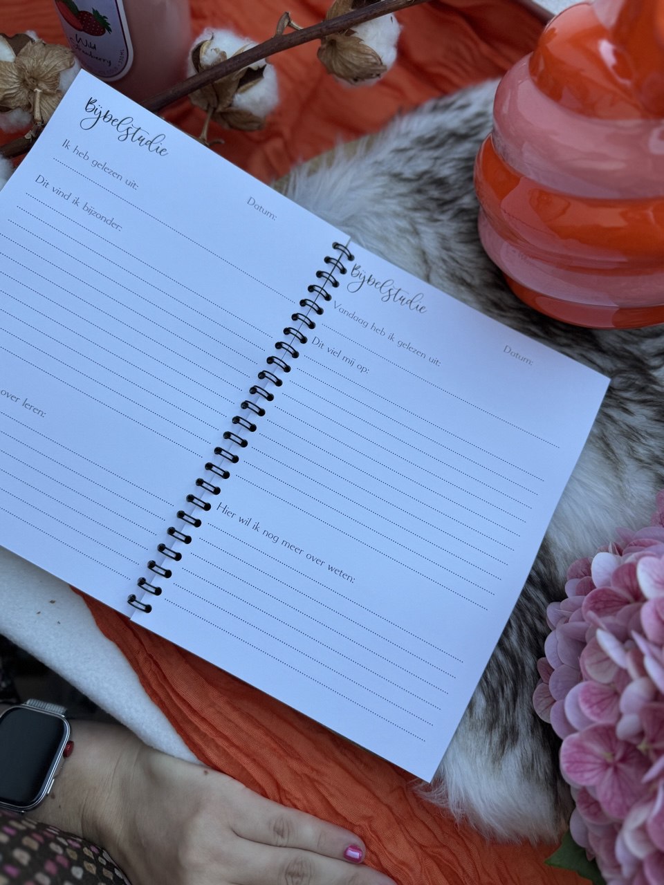Stille Tijd boekje A5 | Bijbelstudie met bemoediging en bloemenillustraties