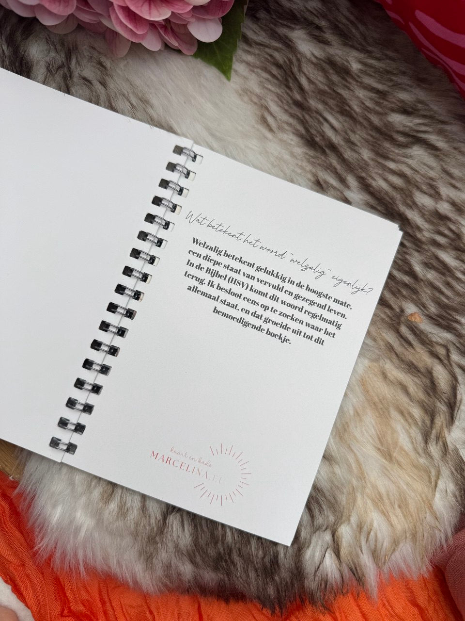 Cadeauboekje ‘Welzalig’