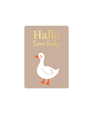 Kaartje - ronde hoek | Hallo lieve baby (gans)