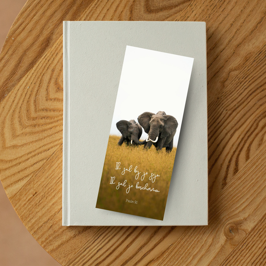 Christelijke Boekenlegger - diverse keuzes
