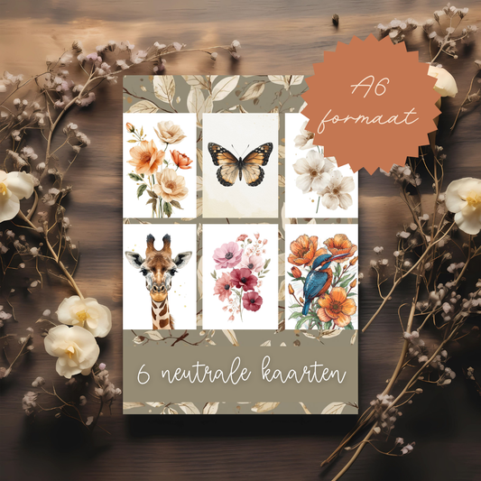 6 kleine kaartjes || neutraal